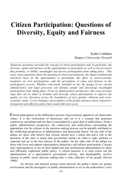 Citizen Participation: Questions of Diversity, Equity and Fairness