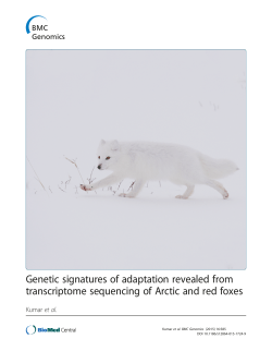 Genetic signatures of adaptation