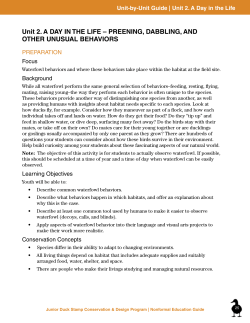 Unit 2. A DAY IN THE LIFE &ndash; PREENING, DABBLING, AND OTHER