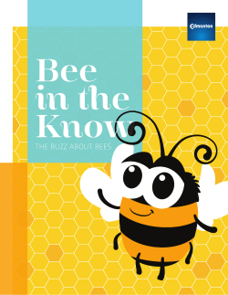 Bee in the Know : The Buzz About Bees - Helpful