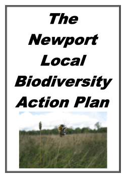 Newport`s Local Biodiversity Action Plan (LBAP)