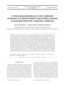 Carbon mineralization in Arctic sediments northeast of Svalbard: Mn