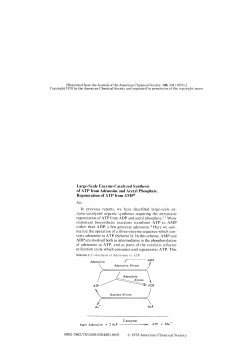 Large-Scale Enzyme-Ciatalyzed Synthesis of ATP from Adenosine
