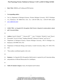 An Organelle RNA Recognition Motif Protein is