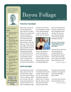 April 2007 Bayou Foliage