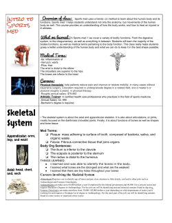 Skeletal System