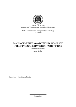 family-centered non-economic goals and the strategic