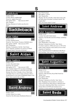 Saddleback - The Railway Centre.Com