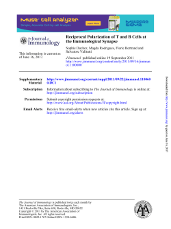 the Immunological Synapse Reciprocal Polarization of T and B Cells at