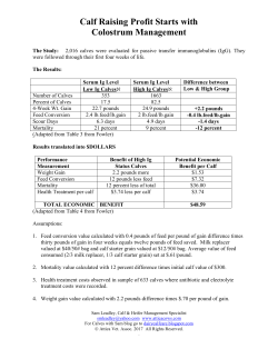 Calf Raising Profit Starts with Colostrum Management