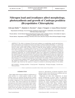 Nitrogen load and irradiance affect morphology, photosynthesis and