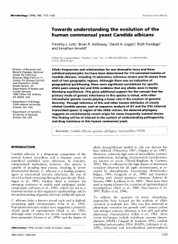 Towards understanding the evolution of the human