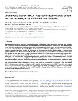 Arabidopsis thaliana RALF1 opposes brassinosteroid effects on root