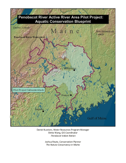 Key values and questions identified