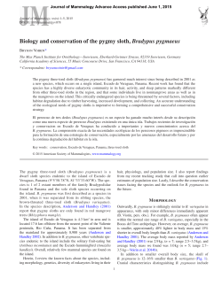 Biology and conservation of the pygmy sloth, Bradypus pygmaeus