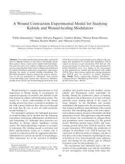 A Wound Contraction Experimental Model for Studying