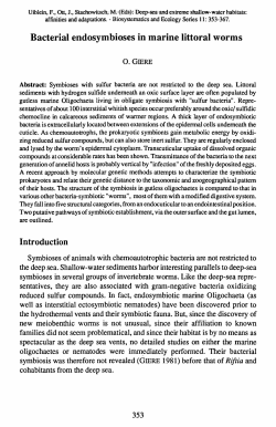 Bacterial endosymbioses in marine littoral worms