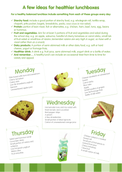 Food Policy Packed Lunch Box ideas