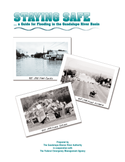 Staying Safe - Guadalupe