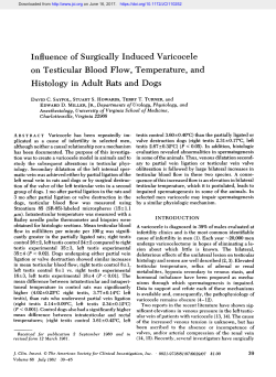 Influence of Surgically Induced Varicocele on Testicular Blood Flow