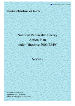 National Renewable Energy Action Plan under Directive 2009/28
