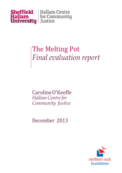 Melting Pot Final Evaluation Report Dec 2013