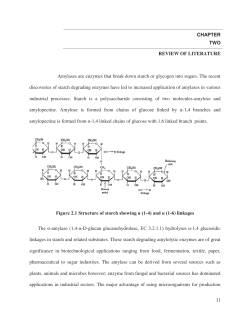 CHAPTER TWO REVIEW OF LITERATURE Amylases are enzymes