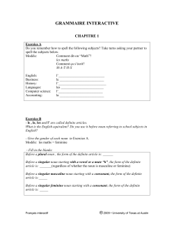 GRAMMAIRE INTERACTIVE
