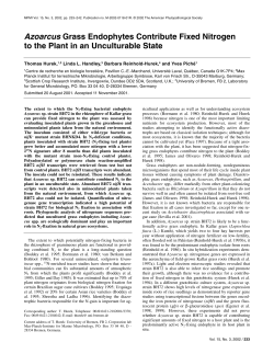 Azoarcus Grass Endophytes Contribute Fixed Nitrogen to the Plant