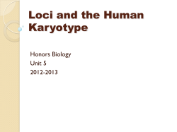 Loci and the Human Karyotype