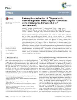 Probing the mechanism of CO2 capture in diamine