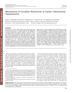 Mechanisms of Circadian Rhythmicity of Carbon Tetrachloride