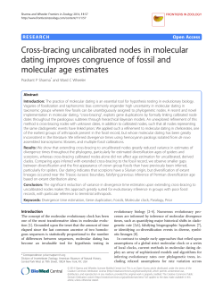 Cross-bracing uncalibrated nodes in molecular dating improves
