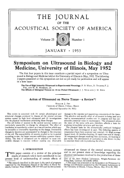 Action of Ultrasound on Nerve Tissue-