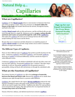 Capillaries - Wejees.net
