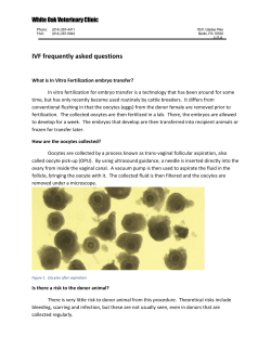 IVF FAQ`s - White Oak Veterinary Clinic, PC