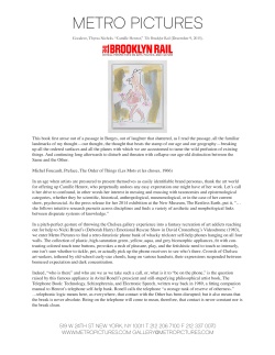 PDF - Metro Pictures