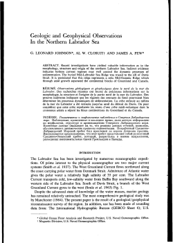 Geologic and Geophysical Observations In the Northern Labrador Sea