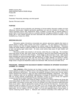 8 Rhinoceros Auklet Productivity Protocol v1.3