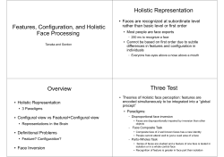 Features, Configuration, and Holistic Face Processing Overview