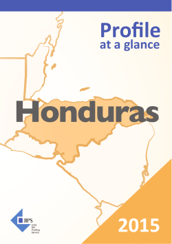 Honduras Profile at a Glance - Joint IDP Profiling Service