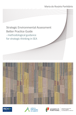 Strategic Environmental Assessment Better Practice Guide