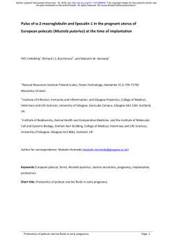 Pulse of &alpha;-2-macroglobulin and lipocalin-1 in the pregnant