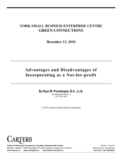 Advantages and Disadvantages of Incorporating