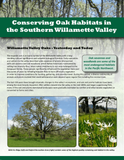 Conserving Oak Habitats in the Southern