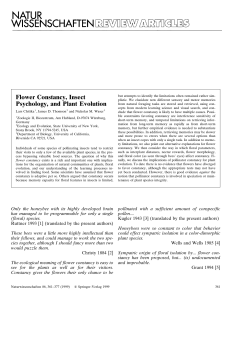 Flower Constancy, Insect Psychology, and Plant Evolution
