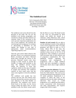 The Umbilical Cord - San Diego Perinatal Center