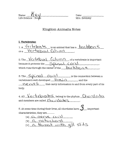 Teacher`s Animal Kingdom Notes