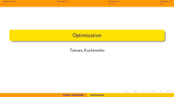 Optimization - Tamara Kucherenko