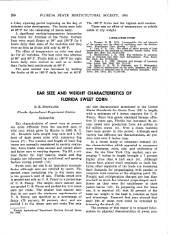 ear size and weight characteristics of florida sweet corn
